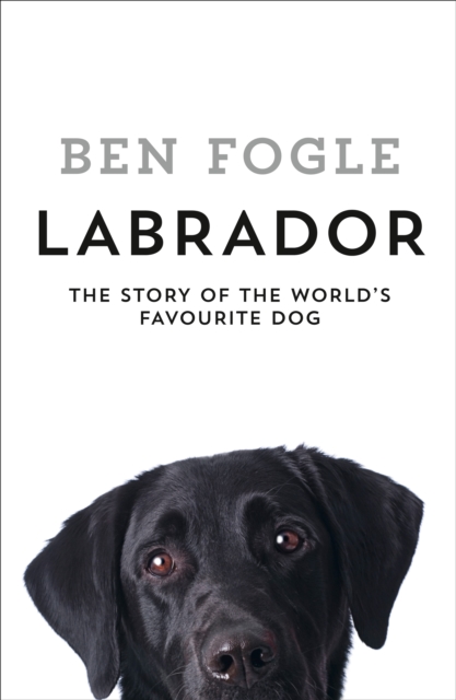LabradorThe Story of the World's Favourite Dog