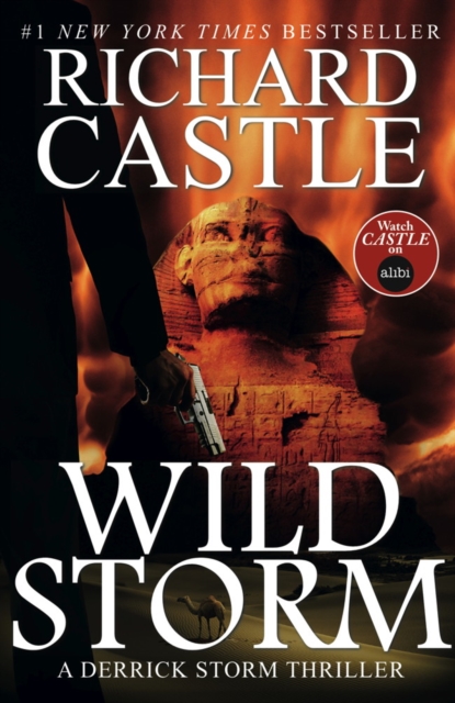 Wild StormA Derrick Storm Novel